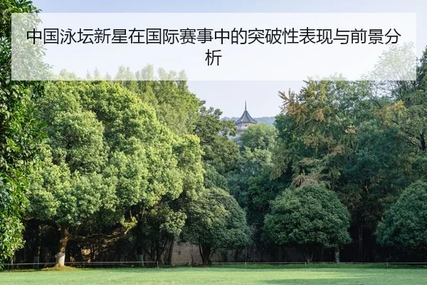 zhong-guo-yong-tan-xin-xing-zai-guo-ji-sai-shi-zhong-de-tu-po-xing-biao-xian-yu-qian-jing-fen-xi-2-623.jpg