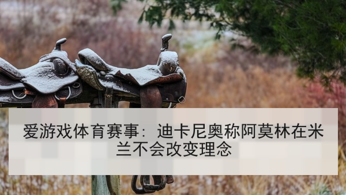 爱游戏体育赛事: 迪卡尼奥称阿莫林在米兰不会改变理念
