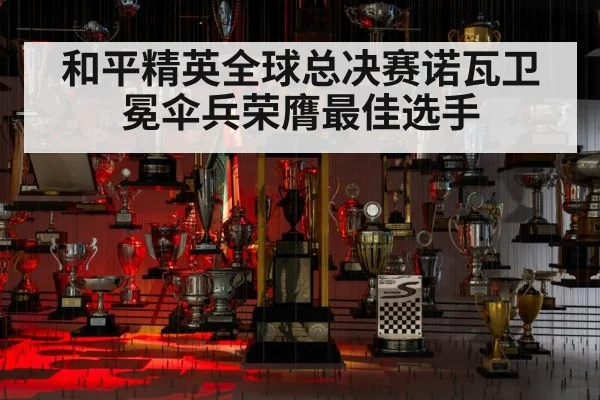 和平精英全球总决赛诺瓦卫冕伞兵荣膺最佳选手